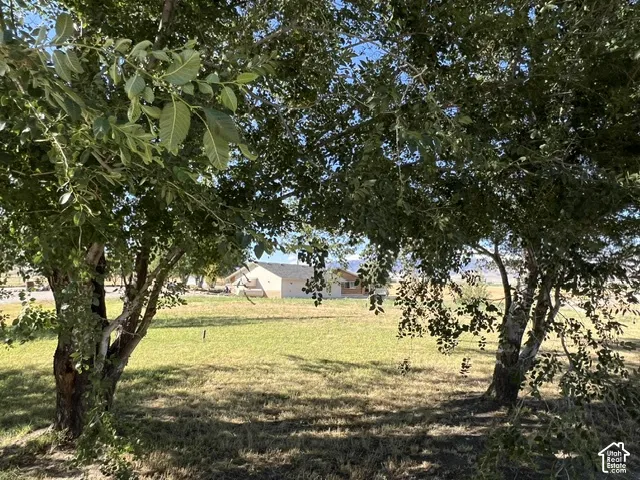 Expansive grassy area with mature trees framing the property
