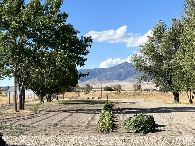 Expansive outdoor space featuring cultivated garden beds, mature trees, and a mountain backdrop