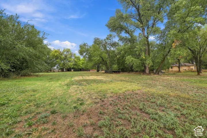 Expansive green space with mature trees