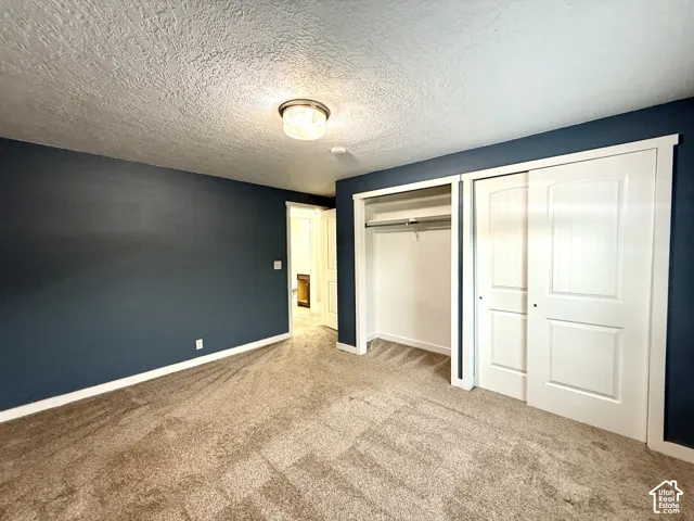 Plush carpet flooring, dark-painted walls, and white trim throughout