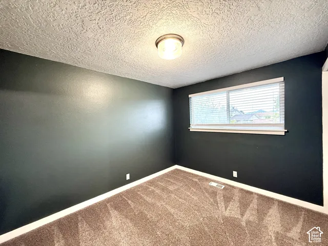 Recessed window with white blinds, dark accent wall, carpet flooring, and a ceiling-mounted light fixture