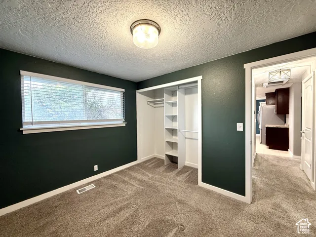 Plush carpet flooring, integrated closet organization, flush-mount ceiling light fixture, and window with blinds