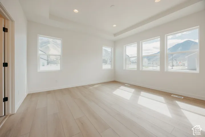 Recessed lighting, wood-finish flooring, tray ceiling, multiple windows, and white trim