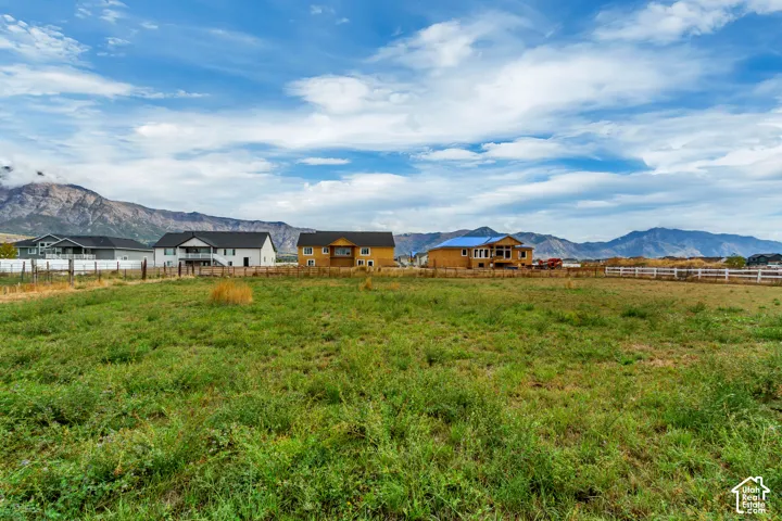 Expansive grass field with distant mountain range backdrop