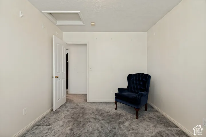 Wall-to-wall carpeted flooring and light-toned painted walls create a neutral palette
