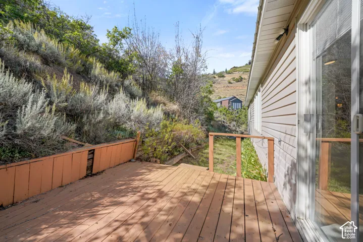 Wood-finish deck with a natural wood railing
