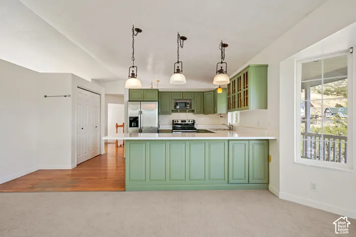 Kitchen featuring painted cabinetry, a peninsula with counter seating, stainless steel appliances, and a window overlooking a mountainous backdrop
