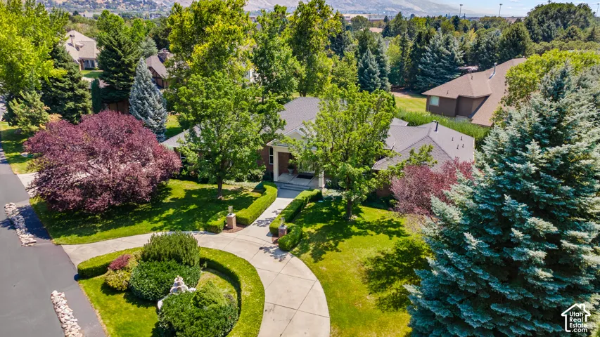 Mature landscaping with manicured shrubs and trees, concrete driveway, and expansive lawn areas
