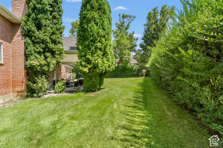 Expansive lawn with mature privacy hedges and established trees