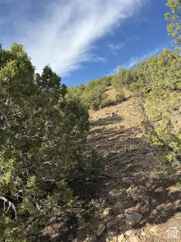 Elevated terrain featuring natural rock formations and abundant evergreen vegetation