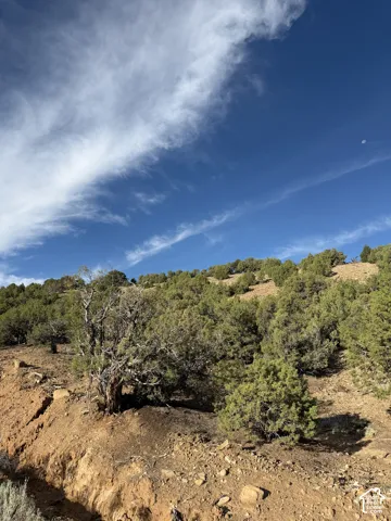 Sloped terrain with established trees and natural ground cover under a clear sky