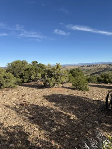 Expansive outdoor space featuring natural terrain, mature evergreen shrubbery, and distant land formations