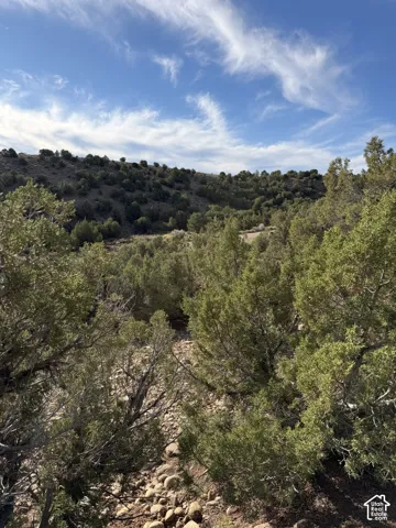 Natural landscape featuring dense vegetation, rocky terrain, and distant hills