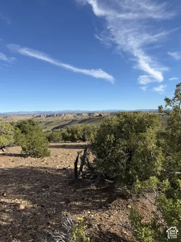 Expansive land with natural vegetation, featuring distant hills and a clear blue sky