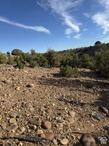 Hilly terrain with scattered evergreen trees and natural ground cover