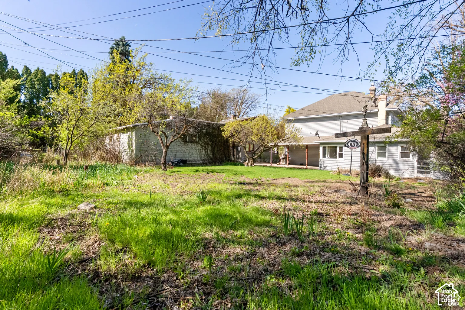Expansive rear yard with a secondary structure, mature trees, and a two-story residence with siding exterior