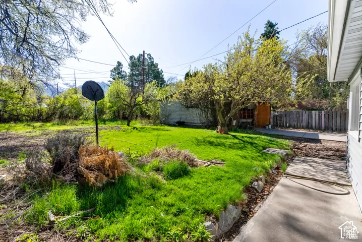 Expansive grassy area with mature trees and a concrete pathway