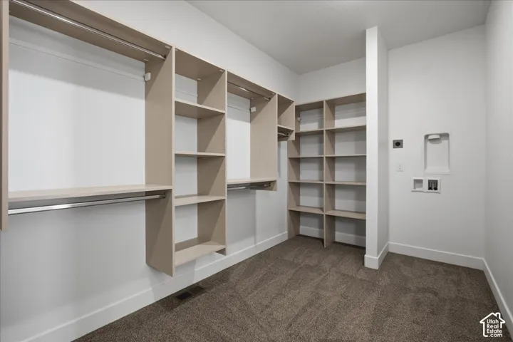 Spacious walk-in closet featuring custom wood-finish shelving and built-in clothing rods, abundant storage compartments, and carpet flooring throughout