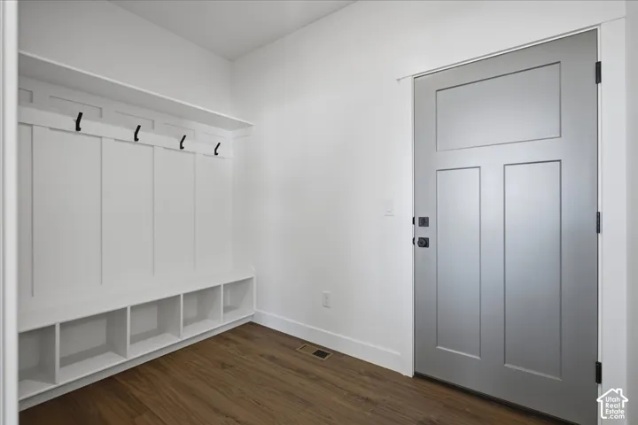 Dedicated mudroom featuring custom built-in cabinetry with cubbies and shelving, wall-mounted coat hooks, wood-finish flooring, and a gray panel door with sidelights