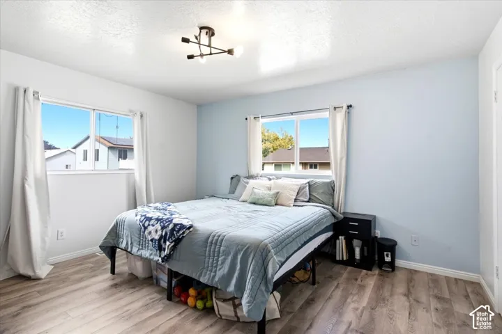 Wood-finish flooring, dual windows with white trim, and a modern ceiling light fixture
