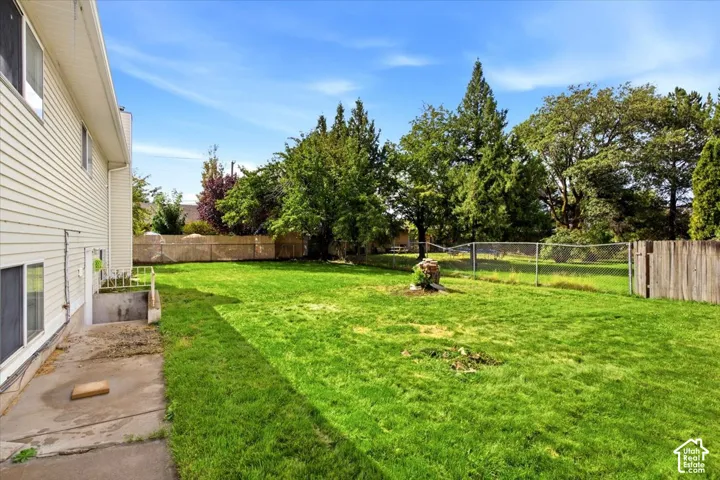 Expansive backyard with manicured lawn, mature trees, and wooden perimeter fencing