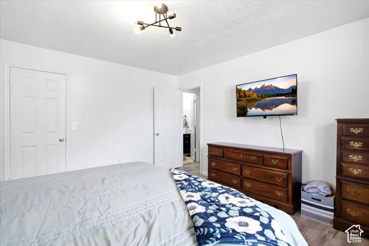 White walls, modern ceiling light fixture, wood-finish flooring, and white paneled doors