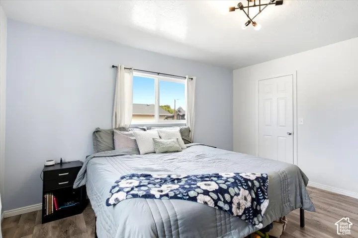 Wood-finish flooring, white paneled door, and a modern ceiling light fixture
