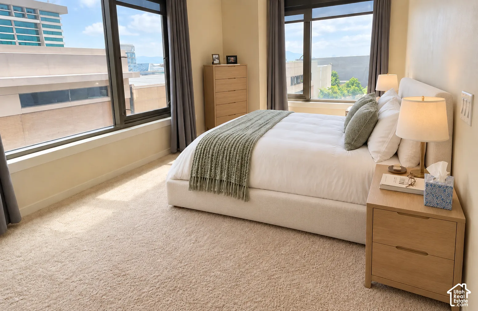 Wall-to-wall carpeting, expansive windows with dark frames, and neutral wall tones