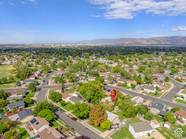 Suburban setting with mature trees and established residential properties