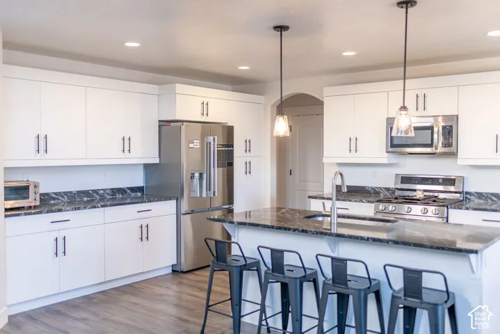 Modern kitchen featuring white cabinetry, dark countertops, a stainless steel appliance suite, pendant lighting, and wood-finish flooring