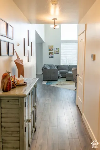 Hallway featuring wood-finish flooring, a wall-mounted light fixture, and a built-in cabinet