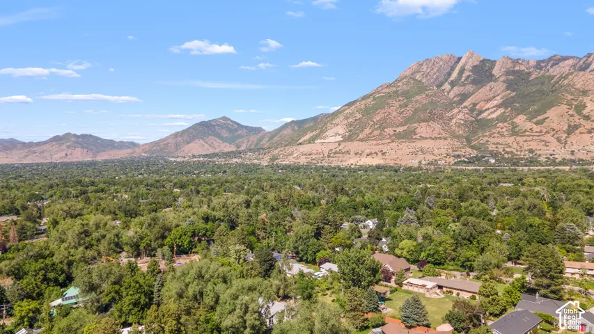 Expansive mountain backdrop with a tree-lined landscape and residential properties