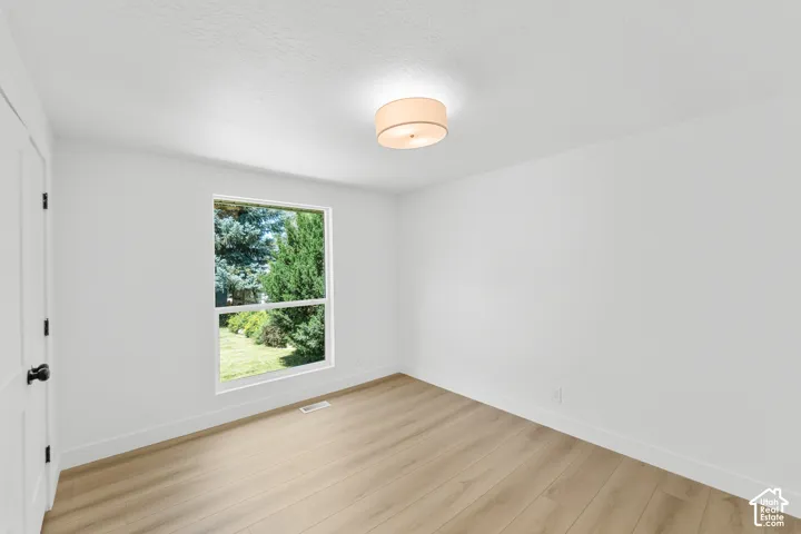 Wood-finish flooring, white walls, and a contemporary flush-mount ceiling light