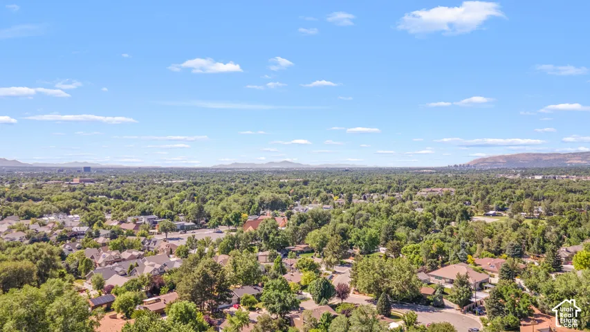 Expansive suburban landscape with abundant mature trees and distant mountain ranges