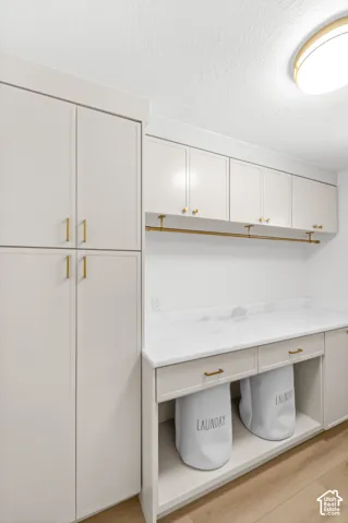 Built-in cabinetry with brass hardware, a white countertop, wood-finish flooring, and overhead lighting