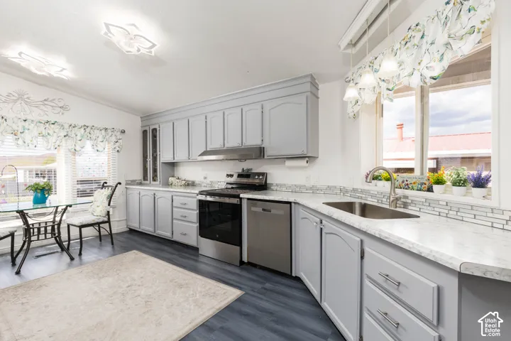 Kitchen featuring wood-finish flooring, gray cabinetry, stainless steel appliances, a tile backsplash, and a double basin sink