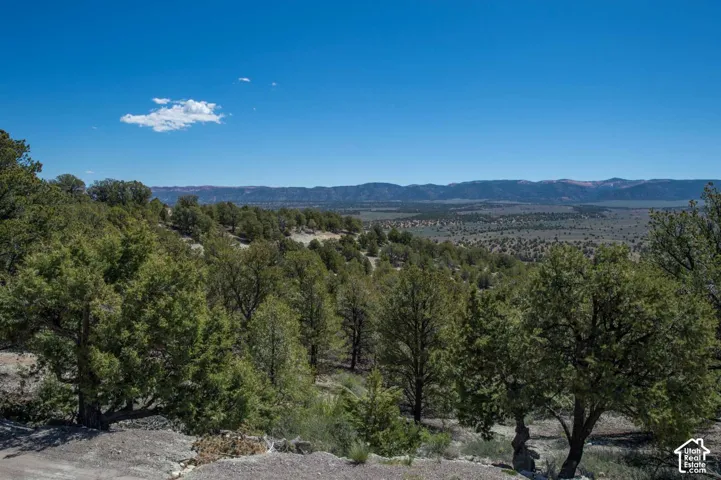 Expansive natural landscape featuring varied tree coverage and distant mountains