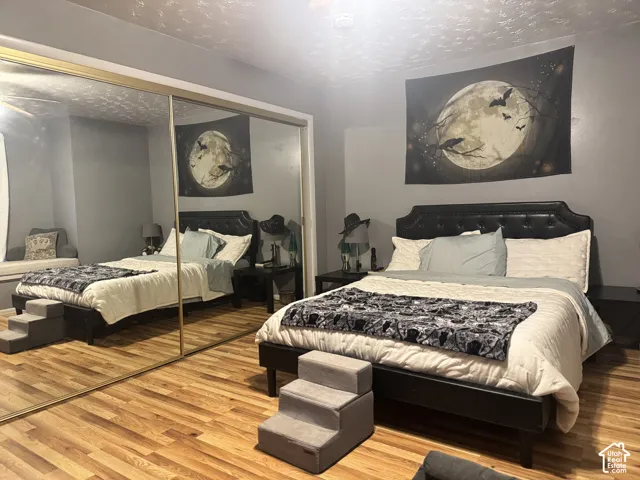 Hardwood flooring, mirrored closet doors, built-in window seating, and a ceiling light fixture