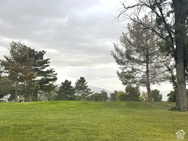 view from yard
