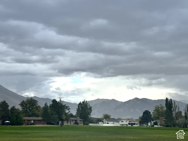view from yard