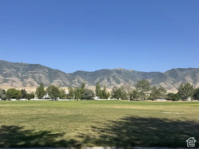 Expansive green space featuring a mountain backdrop and mature trees