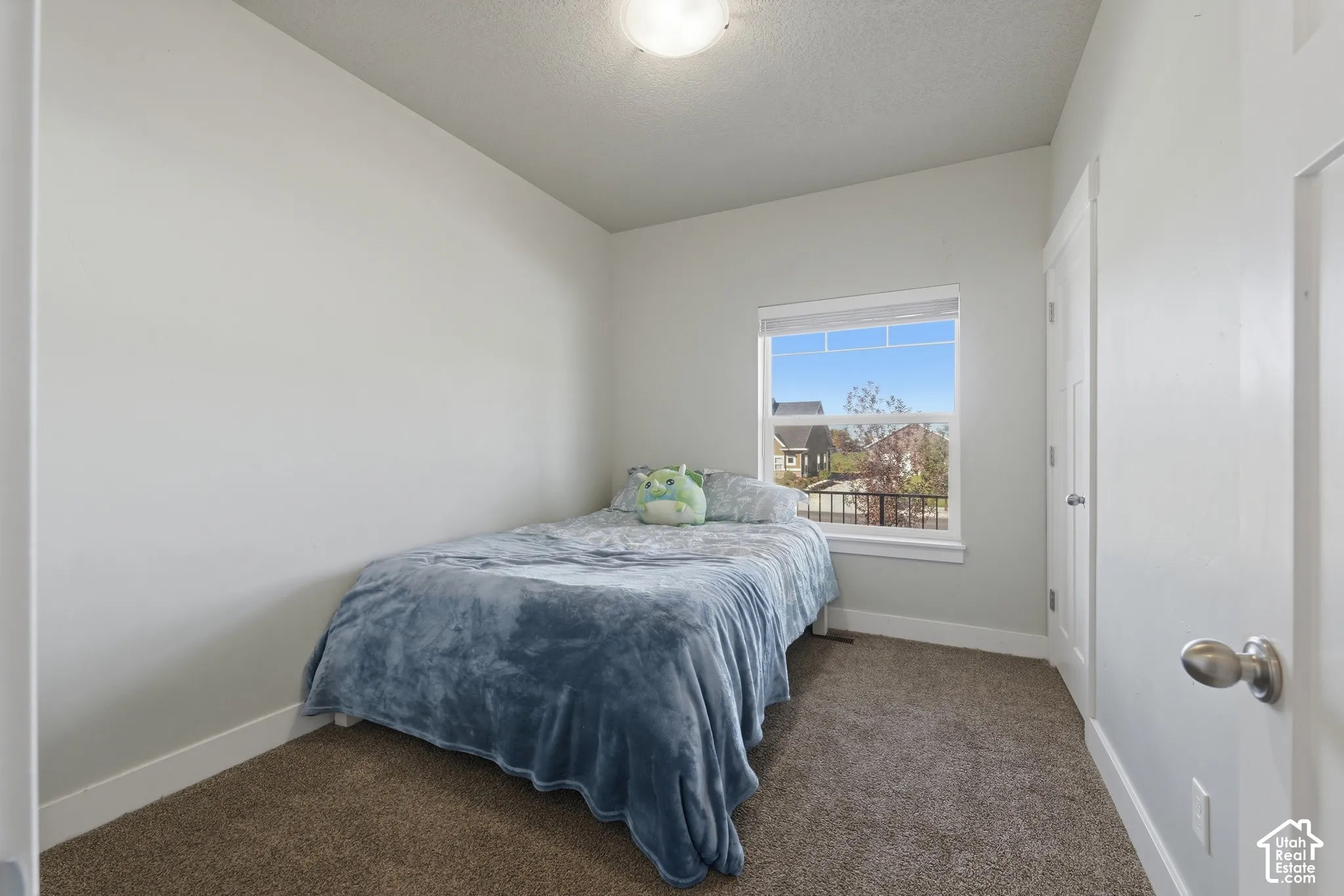 Neutral-toned room featuring neutral carpeting, a window with a cellular shade, and a built-in closet with a swing door