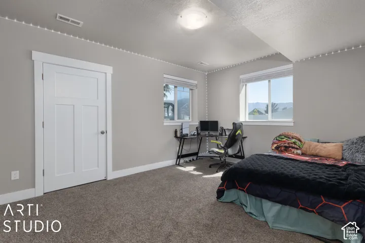 Light-filled room featuring two windows, neutral wall tones, and carpeted flooring