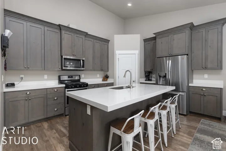 Kitchen featuring gray shaker-style cabinetry, stainless steel appliances, a white countertop island with an undermount sink, and wood-finish flooring