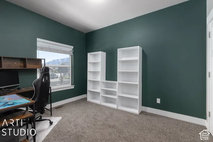 Carpeted room with dark green walls, white trim, and built-in shelving units