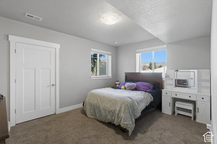 Neutral-toned interior space featuring neutral wall paint, plush carpeting, dual-pane windows with mountain backdrop, and solid-core interior doors with wide trim casing