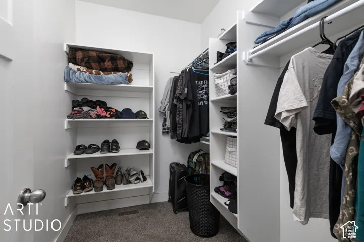 Built-in shelving, hanging rods, and carpeted flooring