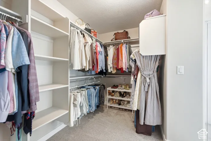 Primary Large walk in Custom closet system featuring multiple hanging rods, built-in shelving, an upper cabinet, and carpet flooring