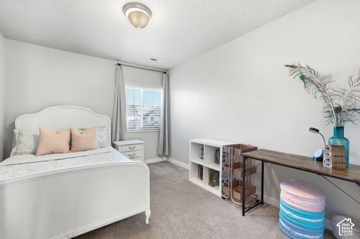Neutral wall color with a window providing natural light, accompanied by a flush-mount ceiling light fixture, and carpeted flooring