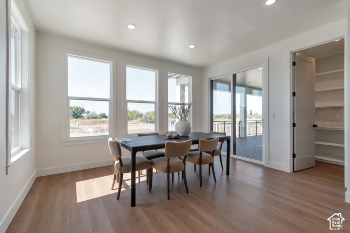 Recessed lighting, wood-finish flooring, multiple large windows, sliding glass door, and a built-in pantry with shelving